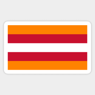 Tampa Bay Color Stripes (Throwbacks) Magnet